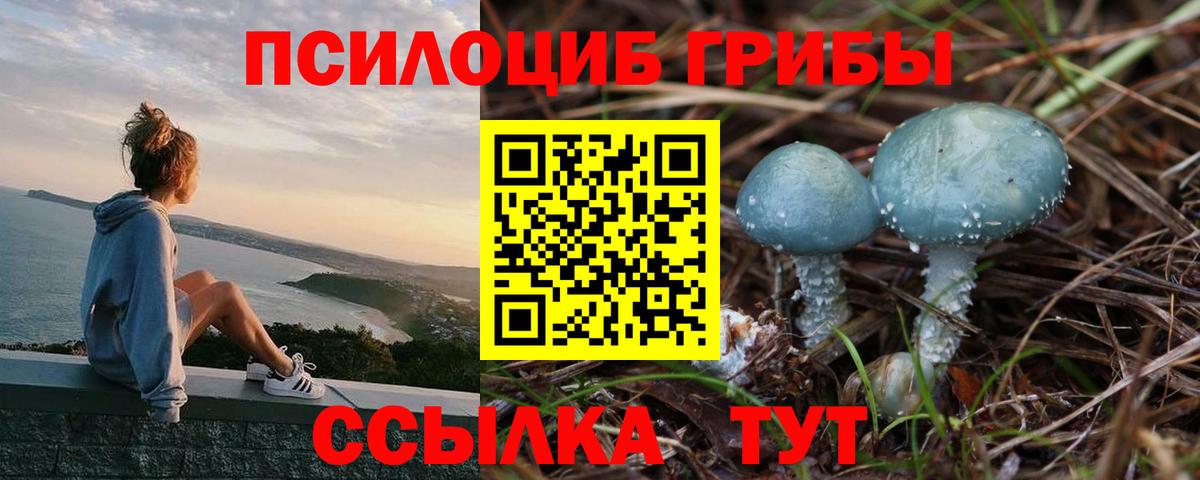 Черняховск  Галлюциногенные грибы Psilocybine cubensis  наркотики  Псилоцибиновые грибы MAGIC MUSHROOMS  Вход с VPN 